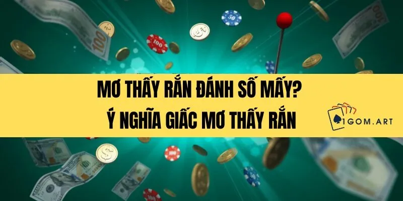 Mơ thấy rắn đánh số mấy_ Ý nghĩa giấc mơ thấy rắn